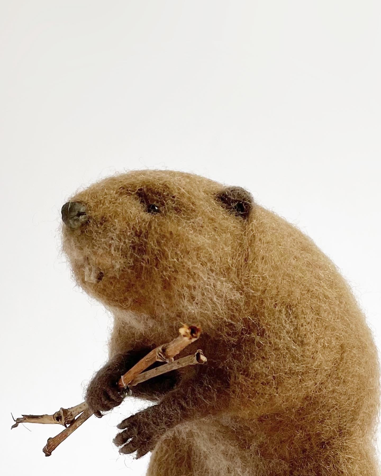Needle felted beaver