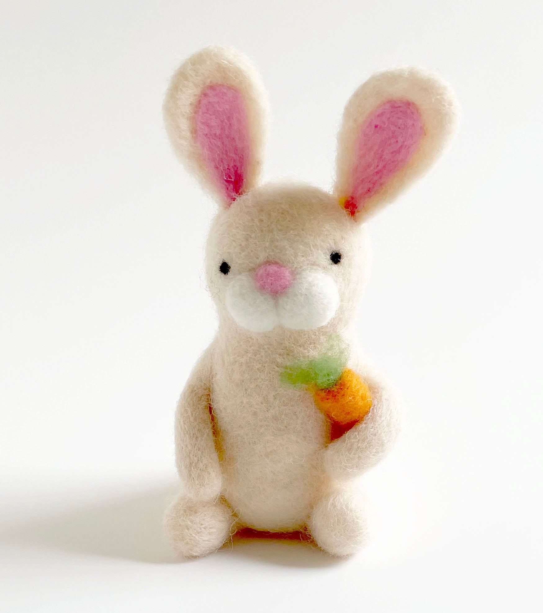 Bunny_Kit_Solo.jpg