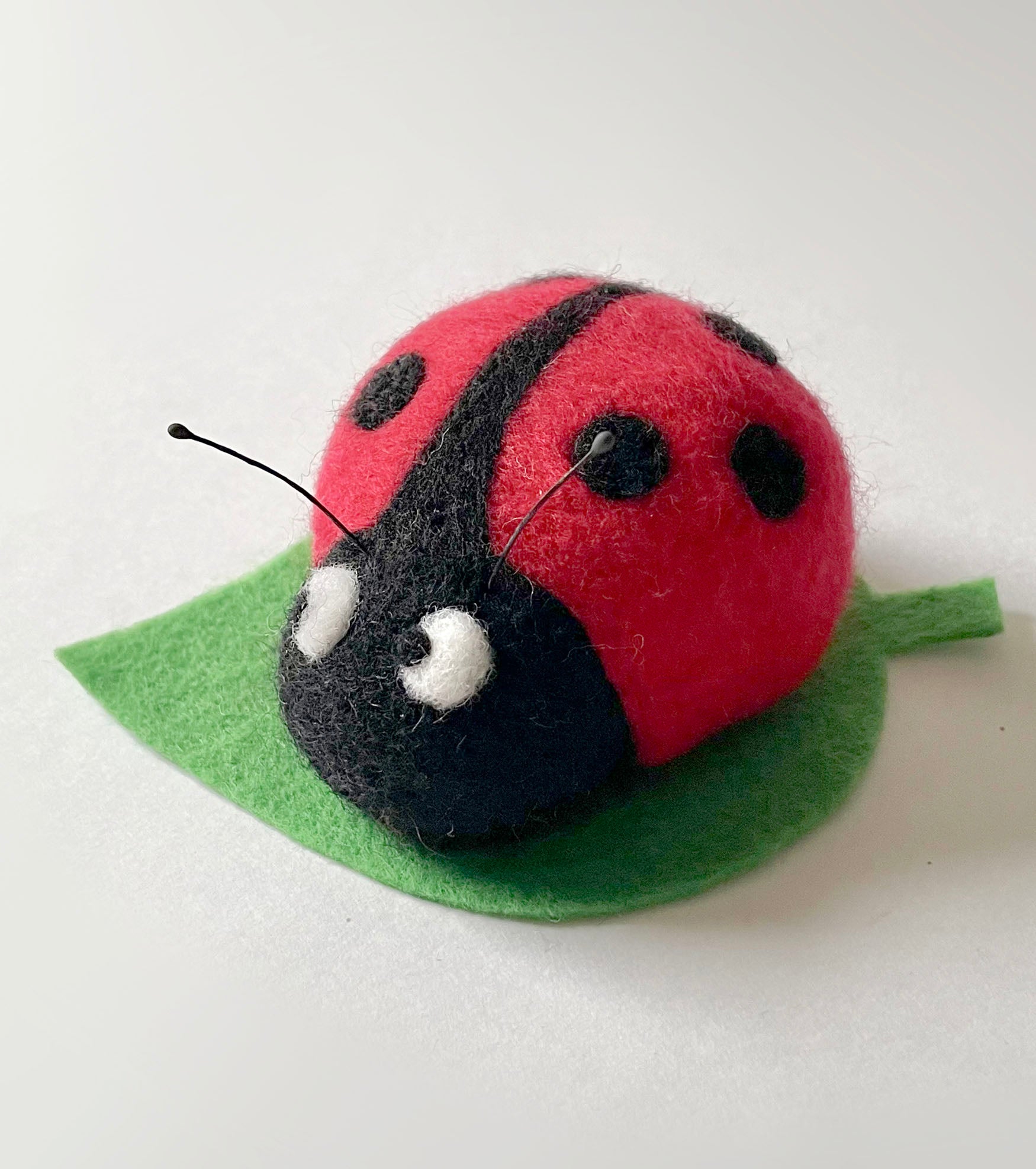 LadybugSolo.jpg