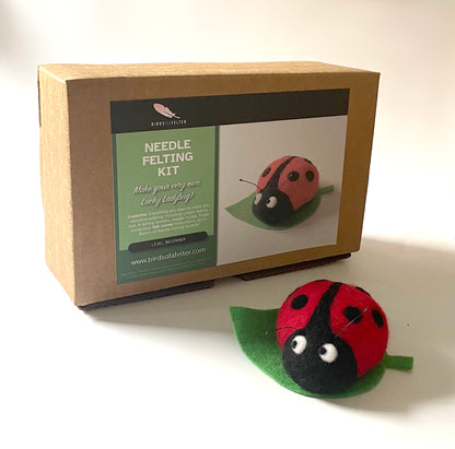 Lucky Ladybug Needle Felting Kit