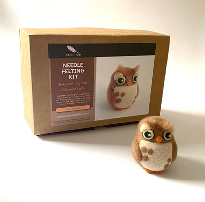 Observant Owl Needle Felting Kit