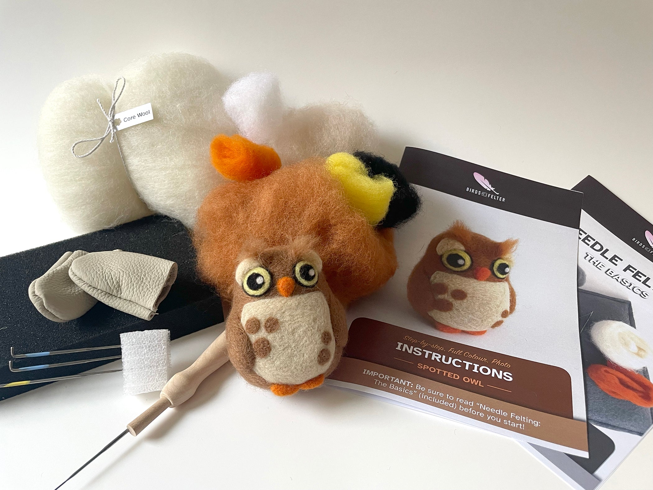 Observant Owl Needle Felting Kit